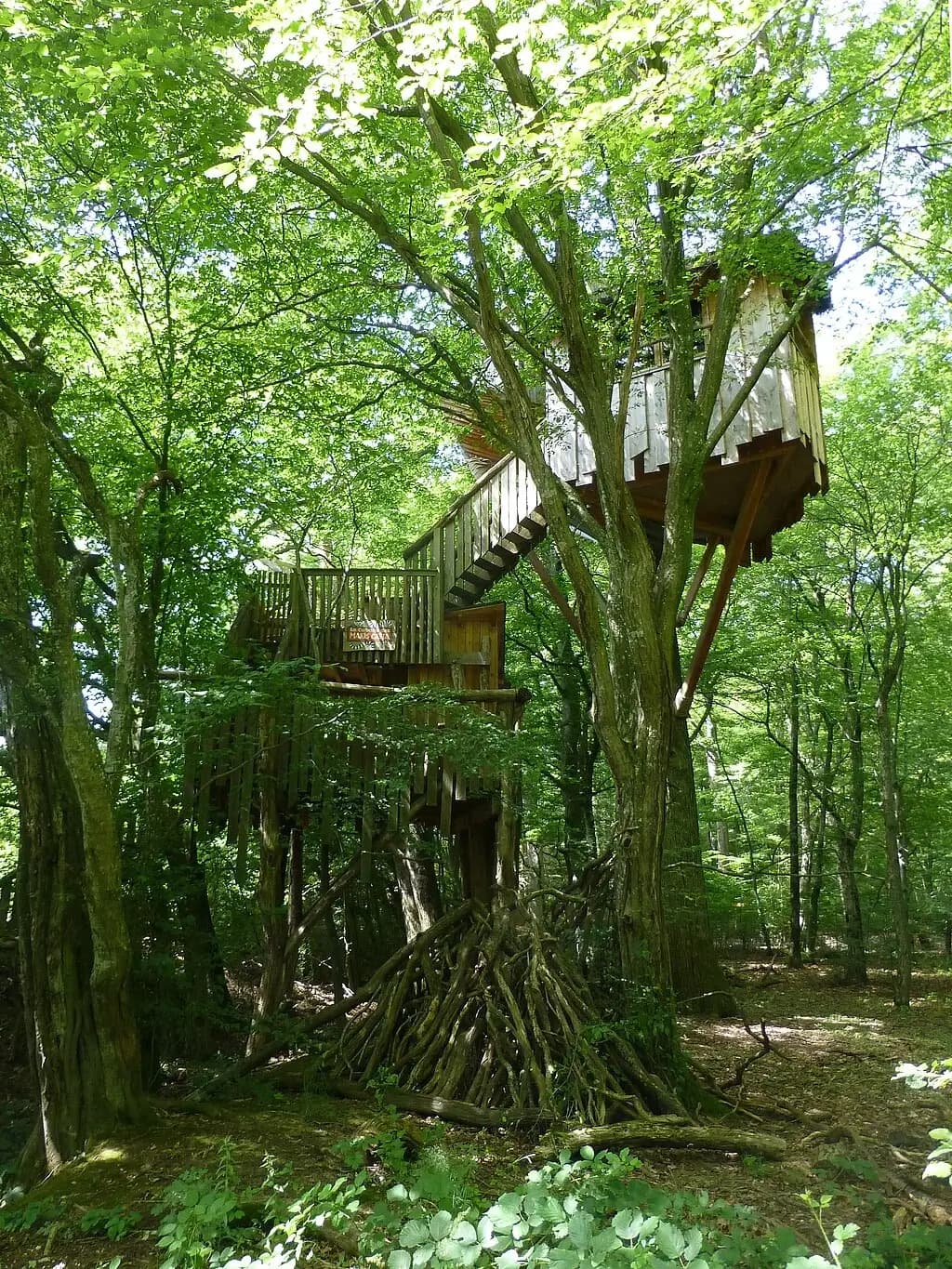 Cabane perchée au parc animalier de Sainte-Croix