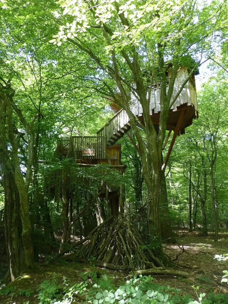 Cabane perchée au parc animalier de Sainte-Croix